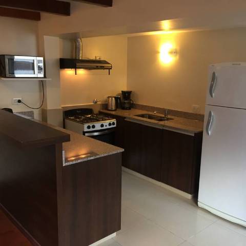 Cocina Departamento 1