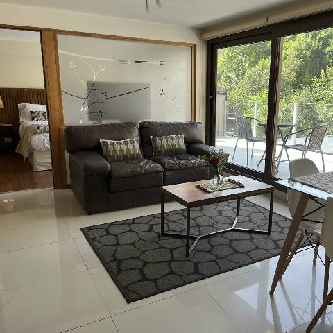 Living Departamento 3