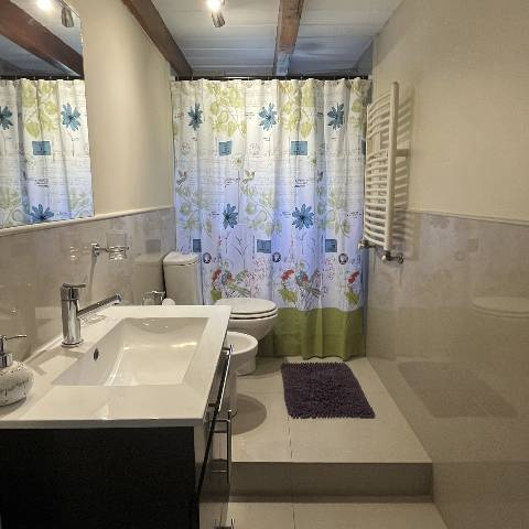 Baño Departamento 1